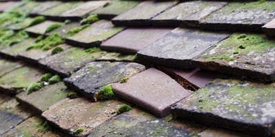 Chasetown roof repair costs